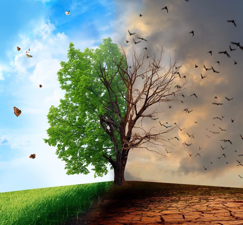 Hayot – bo‘ron tinishini kutish emas, balki yomg‘ir ostida raqs tushishni o‘rganishdir (Seneka)